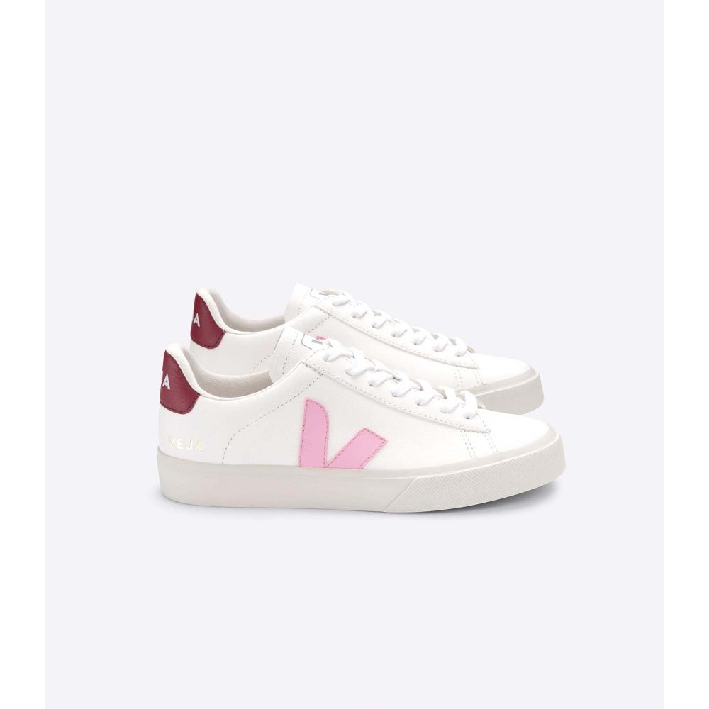 Low Tops Sneakers ανδρικα Veja CAMPO CHROMEFREE White/Pink | GR 193WNB